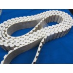 TIMING BELT TRULY ENDLESS - 00000092656-BG