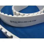 FLEX BELT - 00000134099-BG